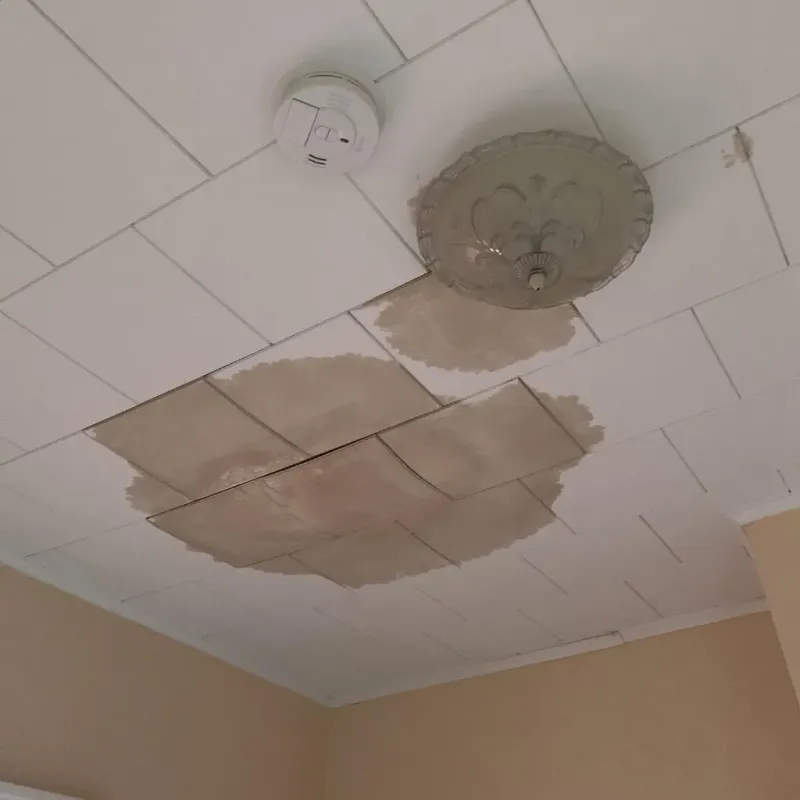 Ceiling Water Damage Repair in Logansport, IN