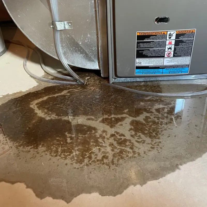 Pipe Burst and Leak Restoration in Logansport, IN