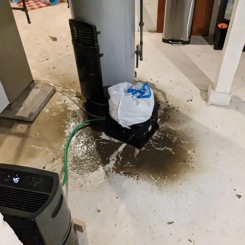 Sewage Backup Cleanup Service in Logansport, IN